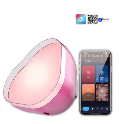 Good price USB Charging Atmosphere LED Lights RGBIC Bluetooth Customized online
